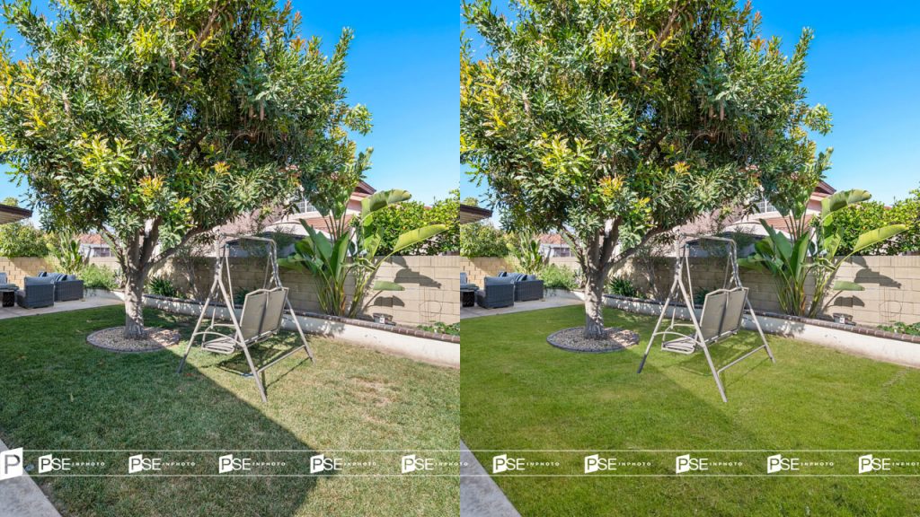 Grass repair or replace